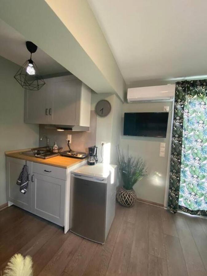 Rooftop Apartment With Garden In Ioannina Exterior photo